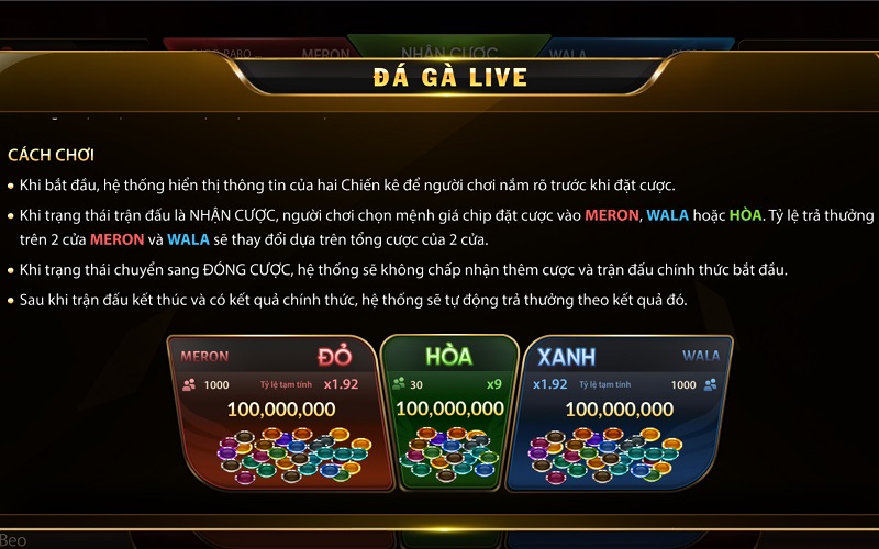 Quan sát tổng thể khi chơi Đá Gà live